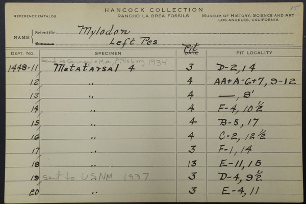NCC 1448 (3)